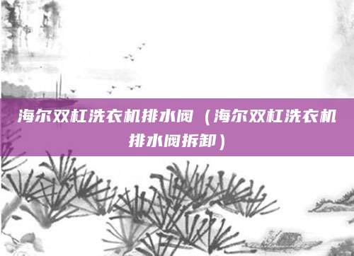 海尔双杠洗衣机排水阀（海尔双杠洗衣机排水阀拆卸）