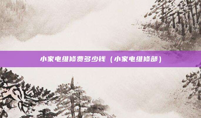 小家电维修费多少钱（小家电维修部）
