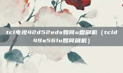 tcl电视42d52eds如何u盘刷机（tcld49a561u如何刷机）