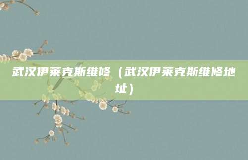 武汉伊莱克斯维修（武汉伊莱克斯维修地址）