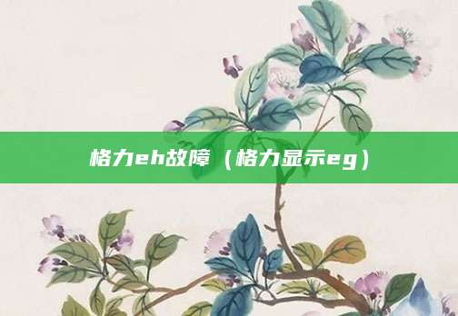 格力eh故障(格力显示eg)