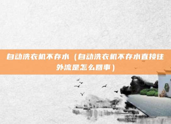 自动洗衣机不存水(自动洗衣机不存水直接往外流是怎么回事)