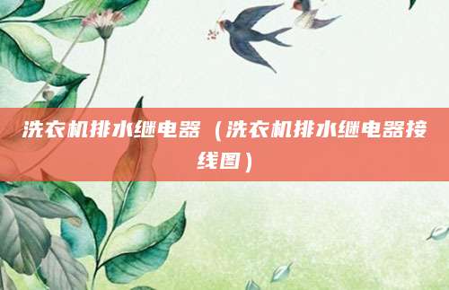 洗衣机排水继电器（洗衣机排水继电器接线图）