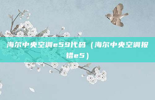 海尔中央空调e59代码（海尔中央空调报错e5）
