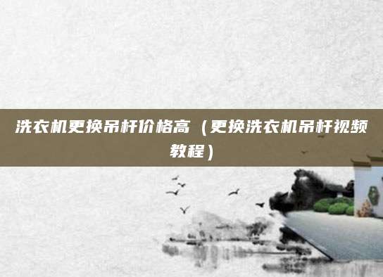 洗衣机更换吊杆价格高（更换洗衣机吊杆视频教程）