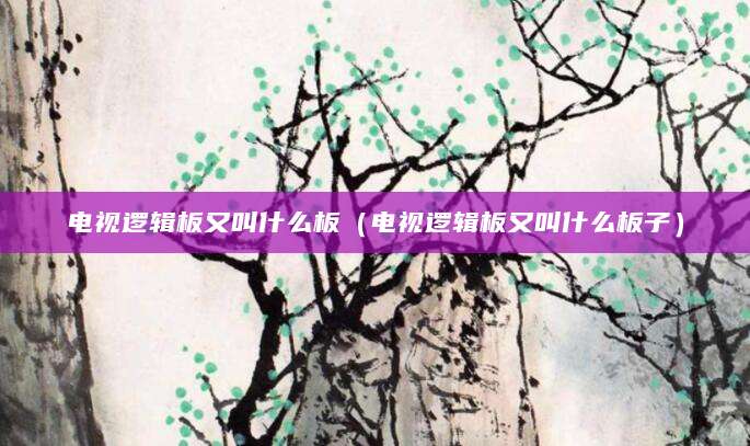 电视逻辑板又叫什么板（电视逻辑板又叫什么板子）