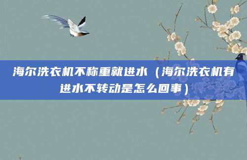 海尔洗衣机不称重就进水（海尔洗衣机有进水不转动是怎么回事）