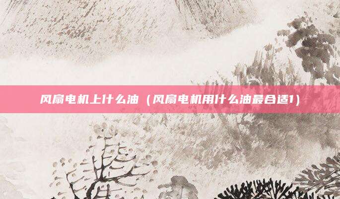 风扇电机上什么油（风扇电机用什么油最合适1）