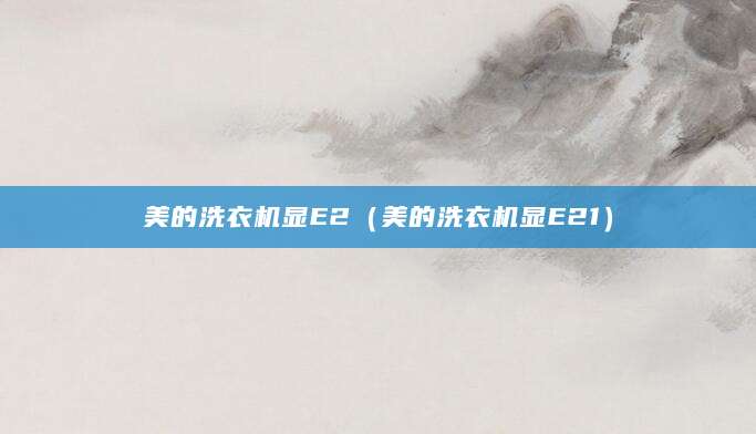 美的洗衣机显E2（美的洗衣机显E21）