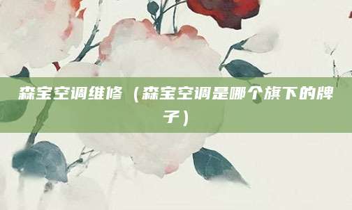 森宝空调维修（森宝空调是哪个旗下的牌子）