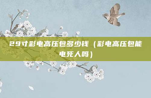 29寸彩电高压包多少钱（彩电高压包能电死人吗）