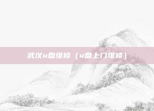 武汉u盘维修（u盘上门维修）