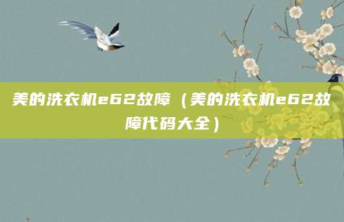 美的洗衣机e62故障（美的洗衣机e62故障代码大全）
