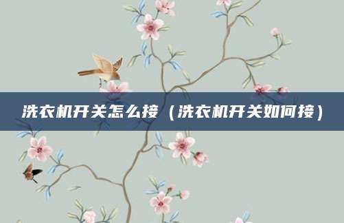 洗衣机开关怎么接（洗衣机开关如何接）