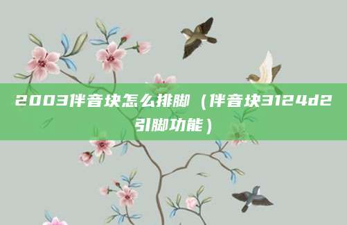 2003伴音块怎么排脚（伴音块3124d2引脚功能）