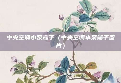 中央空调水泵端子（中央空调水泵端子图片）