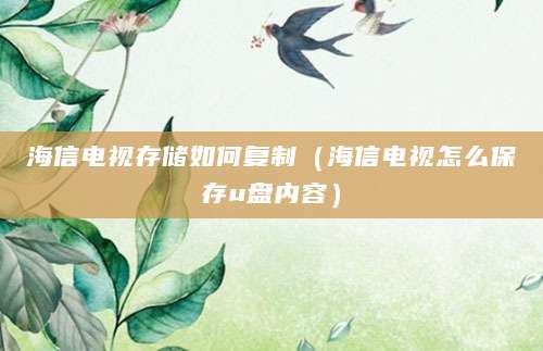 海信电视存储如何复制（海信电视怎么保存u盘内容）