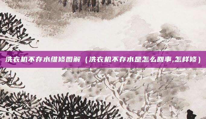 洗衣机不存水维修图解（洗衣机不存水是怎么回事,怎样修）