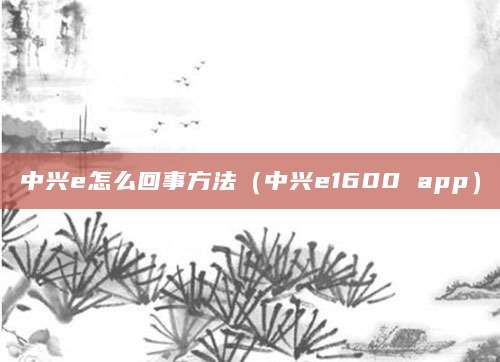 中兴e怎么回事方法（中兴e1600 app）