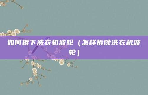如何拆下洗衣机波轮(怎样拆除洗衣机波轮)