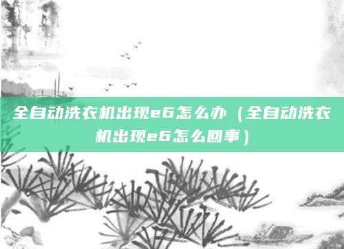 全自动洗衣机出现e6怎么办(全自动洗衣机出现e6怎么回事)