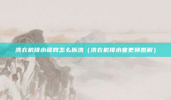 洗衣机排水筛网怎么拆洗(洗衣机排水塞更换图解)