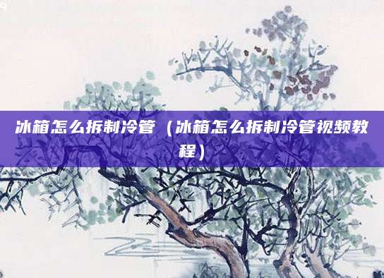 冰箱怎么拆制冷管(冰箱怎么拆制冷管视频教程)