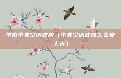 单位中央空调滤网（中央空调滤网怎么安上去）