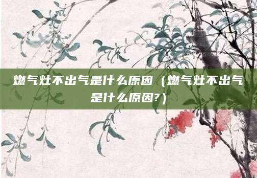 燃气灶不出气是什么原因（燃气灶不出气是什么原因?）