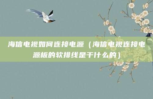 海信电视如何连接电源（海信电视连接电源板的软排线是干什么的）