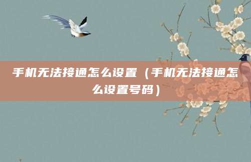 手机无法接通怎么设置（手机无法接通怎么设置号码）