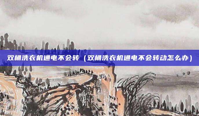 双桶洗衣机通电不会转（双桶洗衣机通电不会转动怎么办）