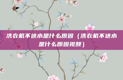 洗衣机不进水是什么原因（洗衣机不进水是什么原因视频）