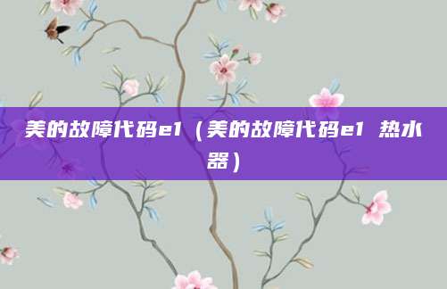 美的故障代码e1（美的故障代码e1 热水器）