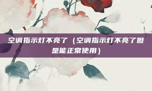 空调指示灯不亮了（空调指示灯不亮了但是能正常使用）