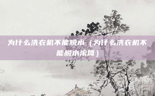 为什么洗衣机不能脱水（为什么洗衣机不能脱水滚筒）