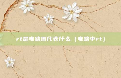 rt是电路图代表什么（电路中rt）