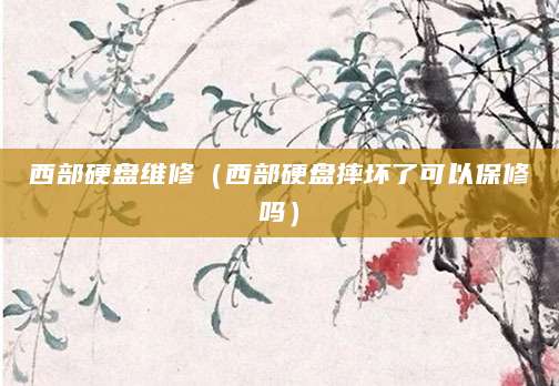 西部硬盘维修（西部硬盘摔坏了可以保修吗）