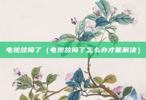 电视故障了（电视故障了怎么办才能解决）
