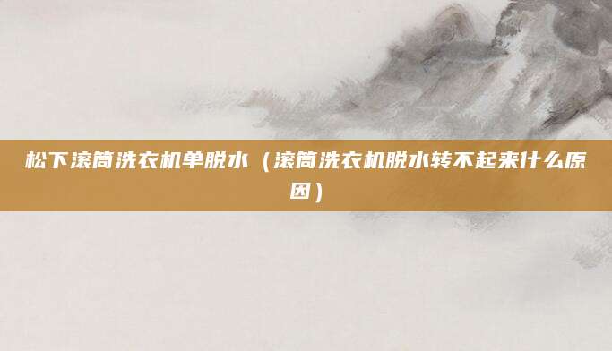 松下滚筒洗衣机单脱水（滚筒洗衣机脱水转不起来什么原因）