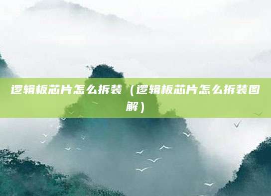 逻辑板芯片怎么拆装（逻辑板芯片怎么拆装图解）