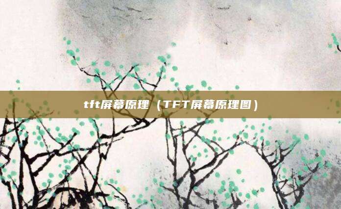 tft屏幕原理（TFT屏幕原理图）