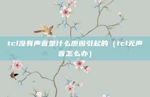 tcl没有声音是什么原因引起的（tcl无声音怎么办）