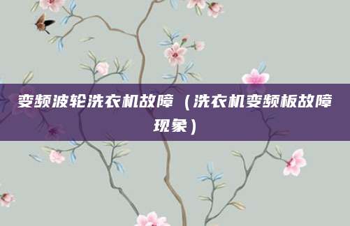 变频波轮洗衣机故障（洗衣机变频板故障现象）