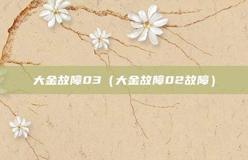 大金故障03（大金故障02故障）