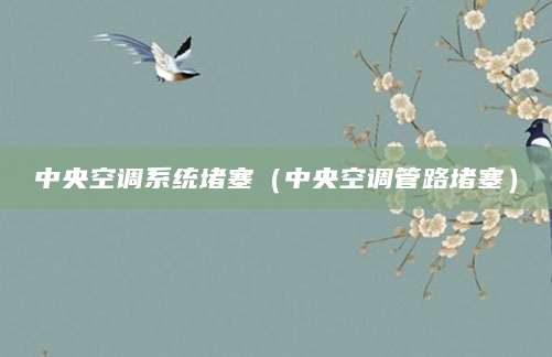 中央空调系统堵塞（中央空调管路堵塞）
