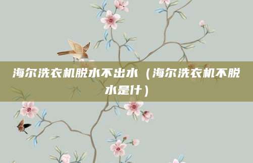 海尔洗衣机脱水不出水（海尔洗衣机不脱水是什）