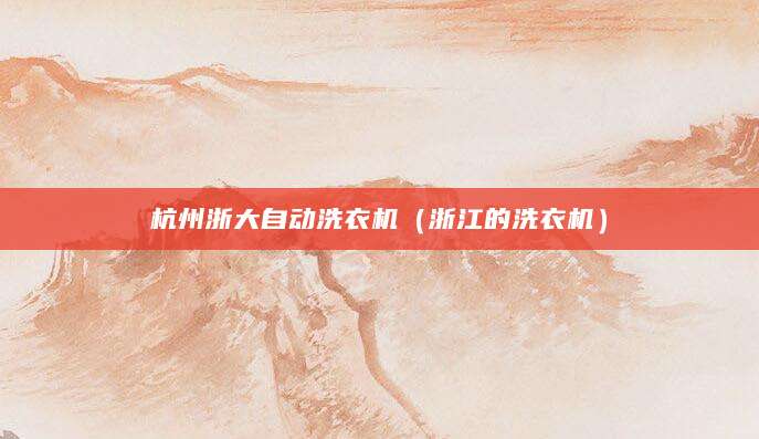杭州浙大自动洗衣机（浙江的洗衣机）