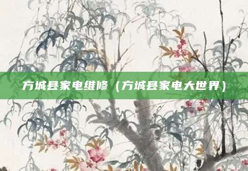 方城县家电维修（方城县家电大世界）