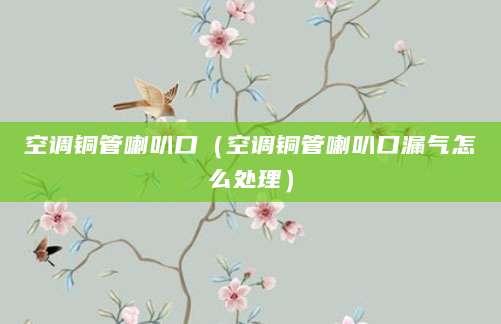 空调铜管喇叭口（空调铜管喇叭口漏气怎么处理）